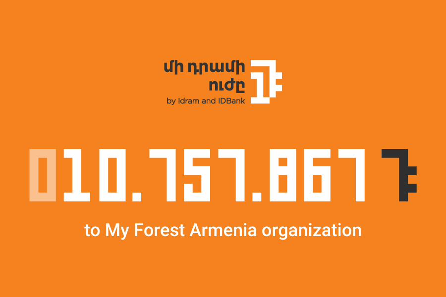 The Power of One Dram: AMD 10.757.867 to “My Forest Armenia” environmental organization