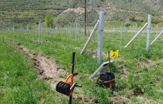 Viva-MTS: The second batch of electric fences has been introduced in VayotsDzor