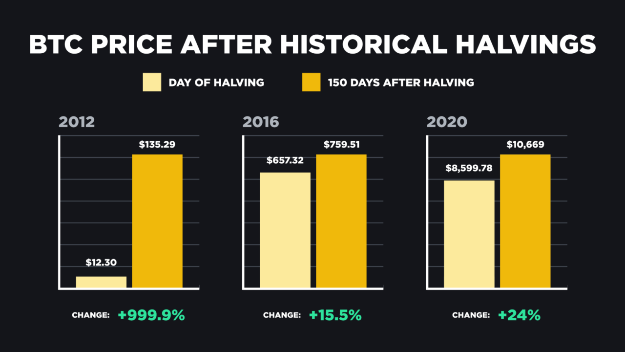 Lessons From History: A Retrospective on Bitcoin Halvings and Industry Dynamics 1