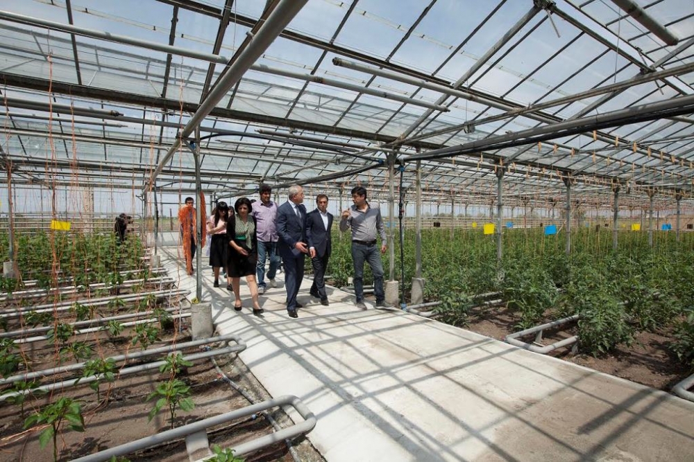 Սերգո Կարապետյանն այցելել է Բանջարաբոստանային և տեխնիկական մշակաբույսերի գիտական կենտրոն