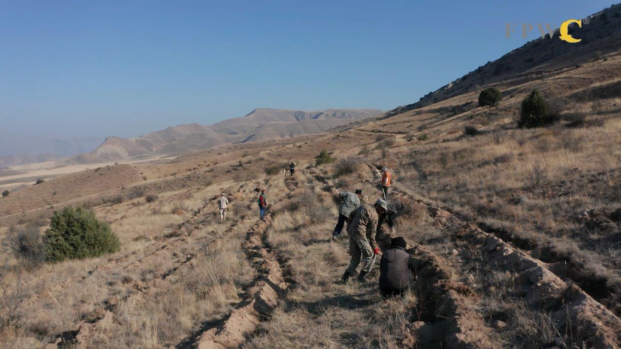 Վիվասել-ՄՏՍ. Արդարացված ջանքեր՝ անտառածածկ տարածքների վերականգնման համար