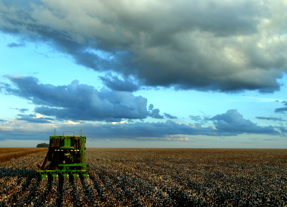 Հայաստանի գյուղատնտեսության ապագան կոոպերատիվներն են