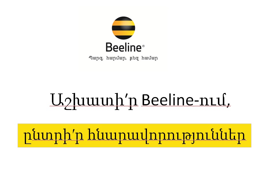 Beeline. Որակավորումների ազգային և ոլորտային շրջանակների իրականացումը Հայաստանում