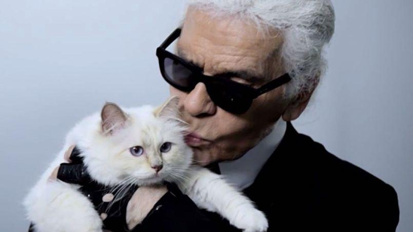 Chanel-ի տնօրեն Կարլ Լագերֆելդն ամբողջ ունեցվածքը կտակել է իր կատվին