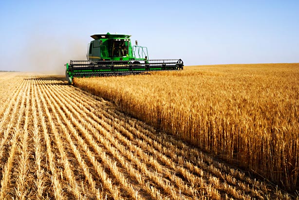 Լեհաստանը մտադիր է հսկողություն սահմանել Ուկրաինայի գյուղատնտեսության նկատմամբ