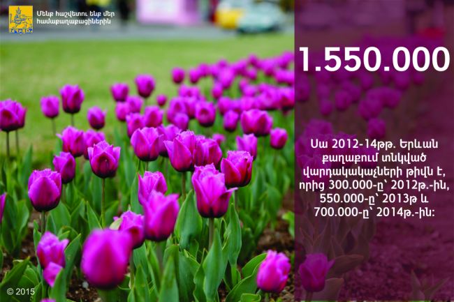«Օրվա փաստը». 2012-2014 թվականներին Երևանում տնկվել է 1 550 000 վարդակակաչ