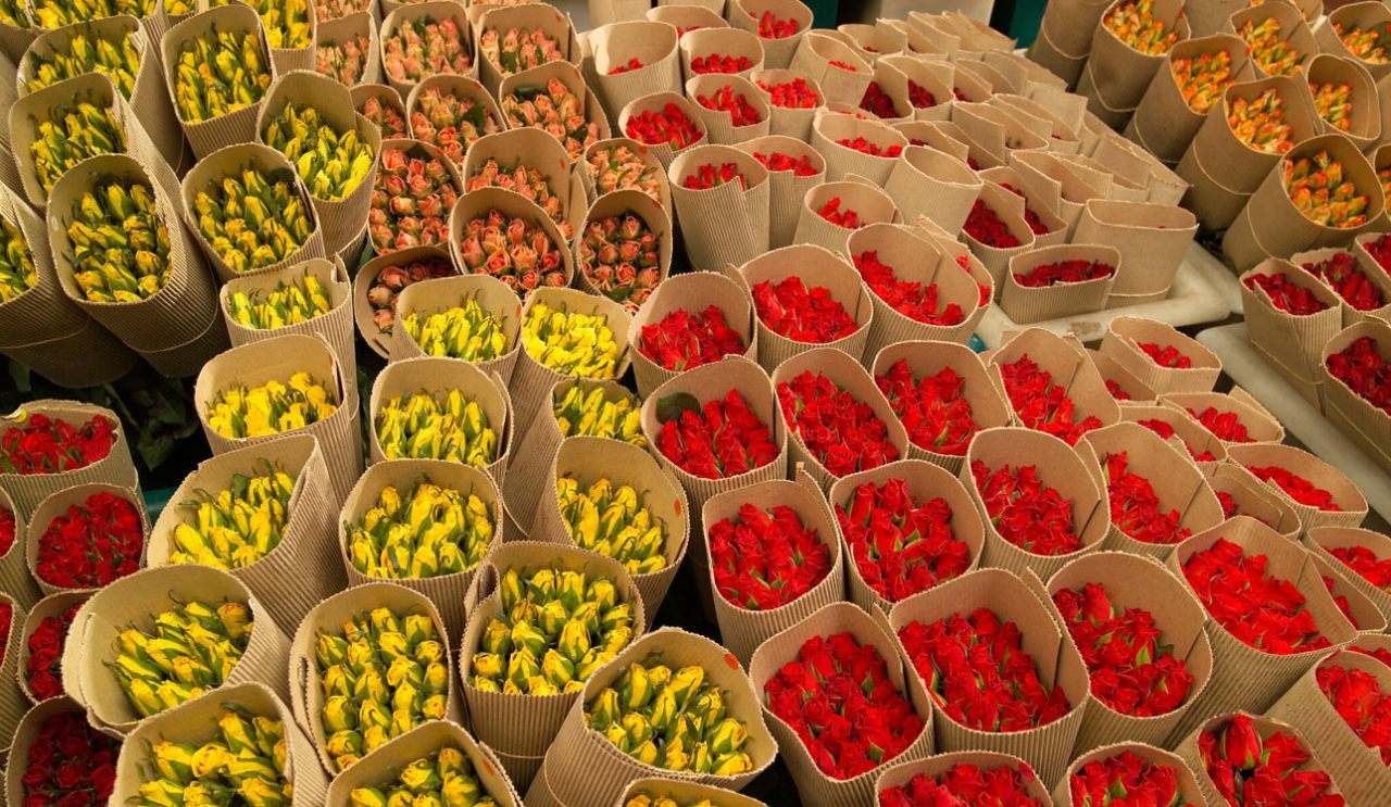 Հայաստանից ծաղիկների արտահանման ծավալներն աճել են 73%-ով