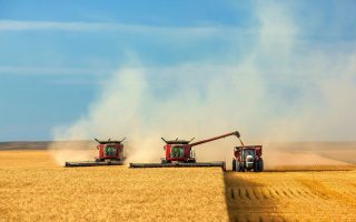 2016թ․-ին Ռուսաստանը կդառնա ցորենի արտահանման համաշխարհային առաջատար