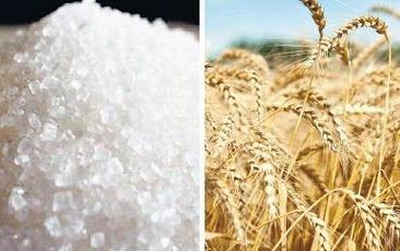 ԿԲ-ն կանխատեսում է ցորենի և շաքարավազի միջազգային գների նվազում