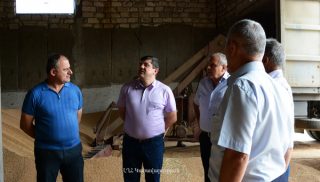 ԼՂՀ Վարչապետը ծանոթացել է հացահատիկի մթերման գործընթացին