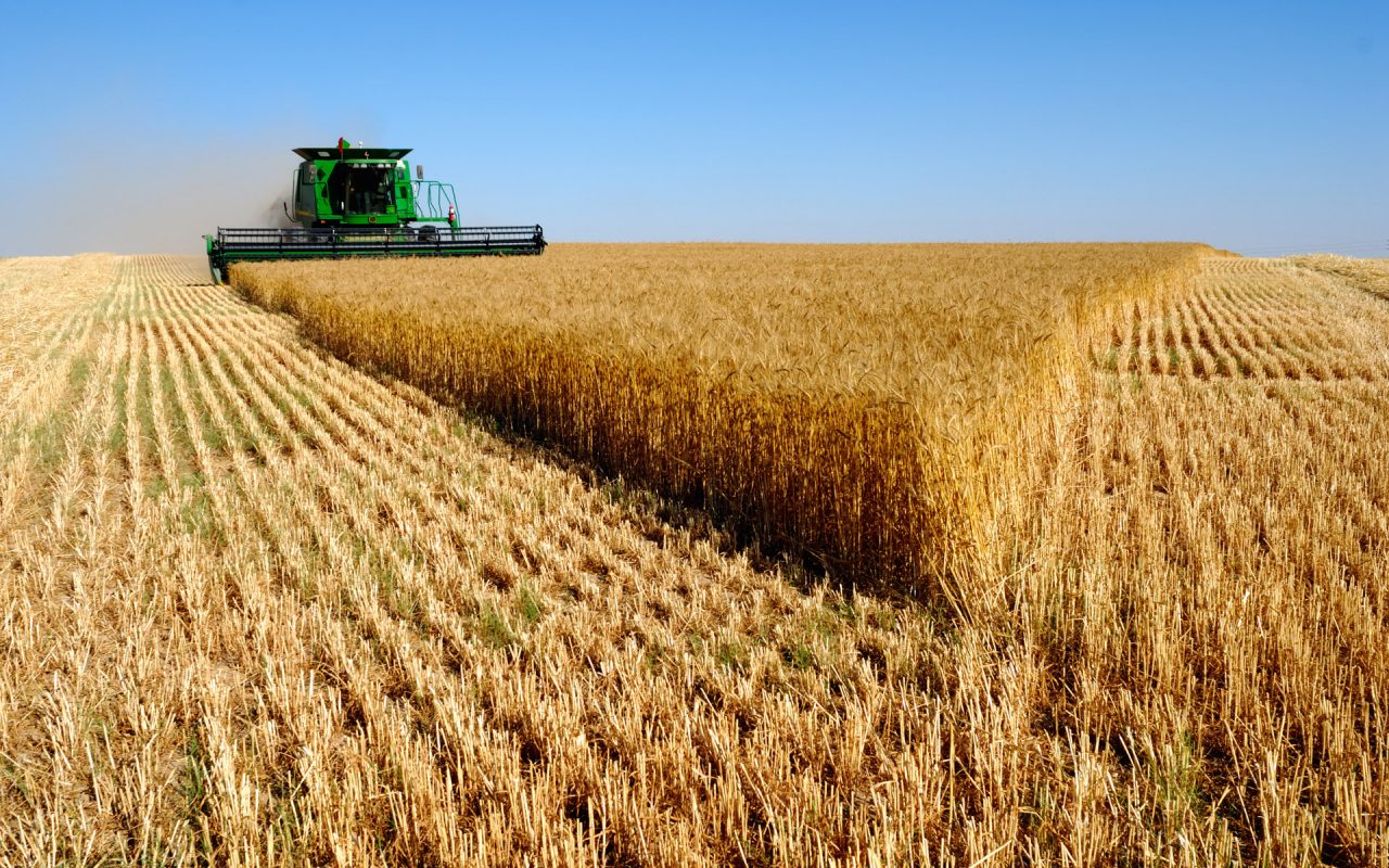 2016-2017 թթ ԵԱՏՄ-ում գյուղատնտեսական արտադրությունը կաճի 8%-ով
