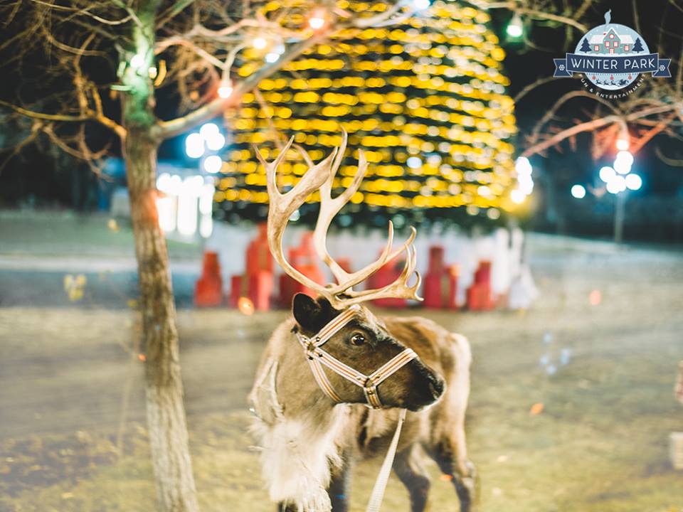 Երևանում կբացվի Ձմեռային այգի՝ Լապլանդիայի նմանօրինակով