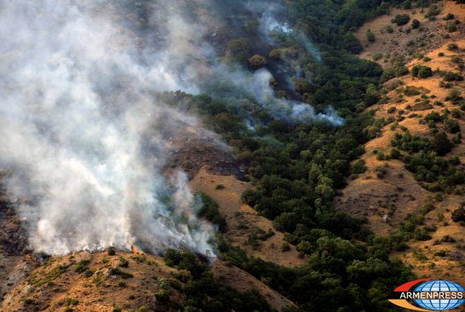 Հրդեհ Խոսրովի Անտառում. շուրջ 200 հա գիհի ծառատեսակներ են այրվել