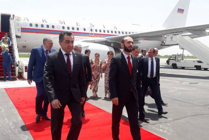 Արարատ Միրզոյան. վարչապետի ինքնաթիռով մեկնելու մասին՝ ծախսեր կան, որ պետք է արվեն