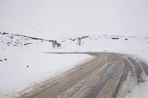 Ապարանի, Արթիկի և Հրազդանի ավտոճանապարհներին ձյուն է տեղում