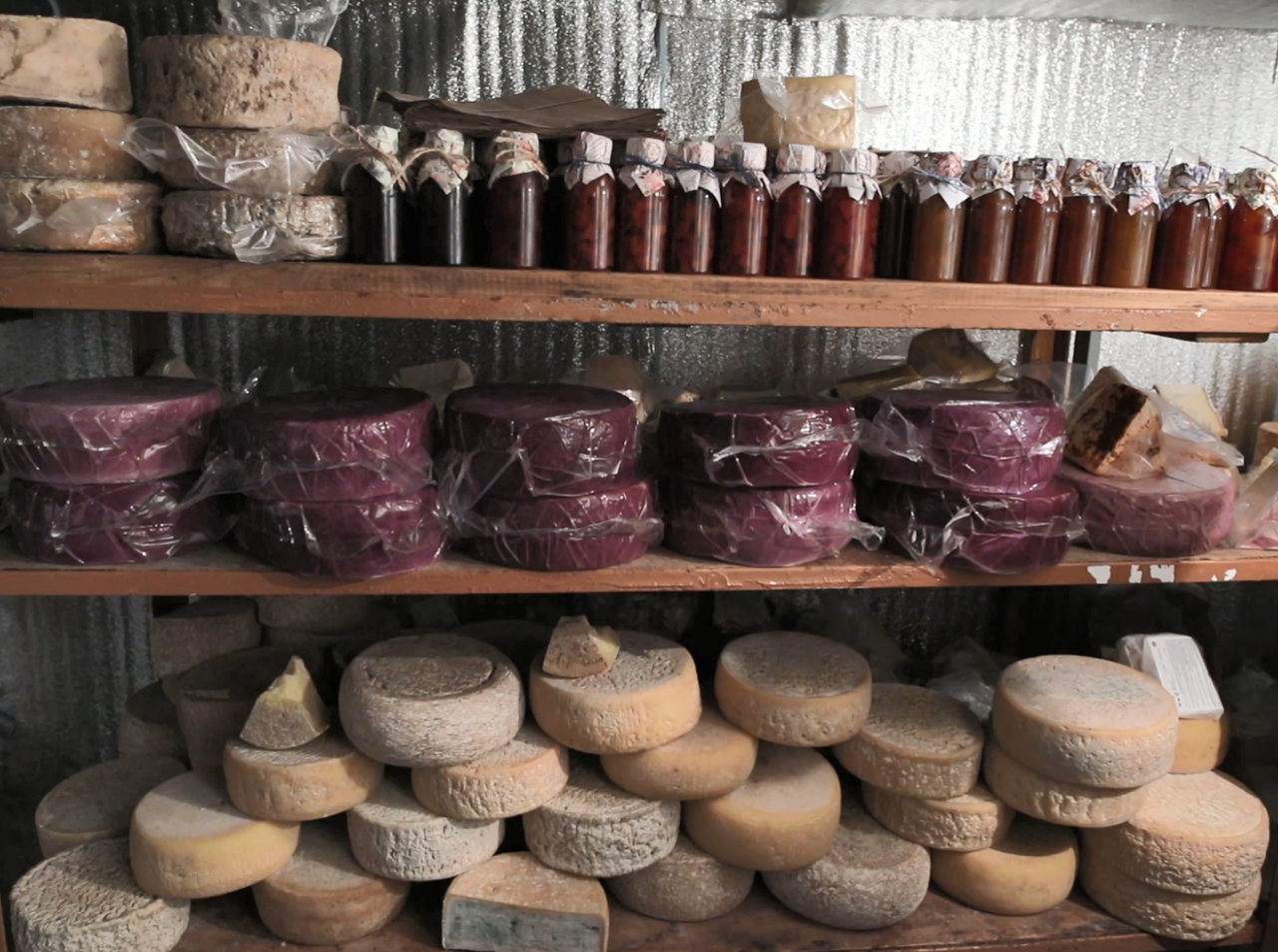 «Հարբած» պանիրներ. նոր ճյուղ հայկական բիզնեսում