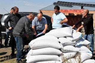 ՄԱԿ-ի ՊԳԿ-ն աշնանացան ցորենի սերմացու է տրամադրում Հայաստանի անապահով ընտանիքներին