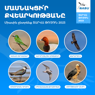 NABU. 2023-ի խորհրդանիշ ընտրելու համար անցկացվում է «Տարվա թռչուն» քվեարկությունը