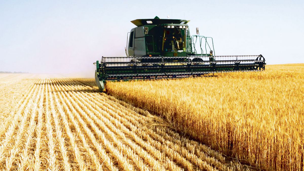 Մոլդովայում ֆերմերները պահանջում են արգելել Ուկրաինայից հացահատիկի ներկրումը
