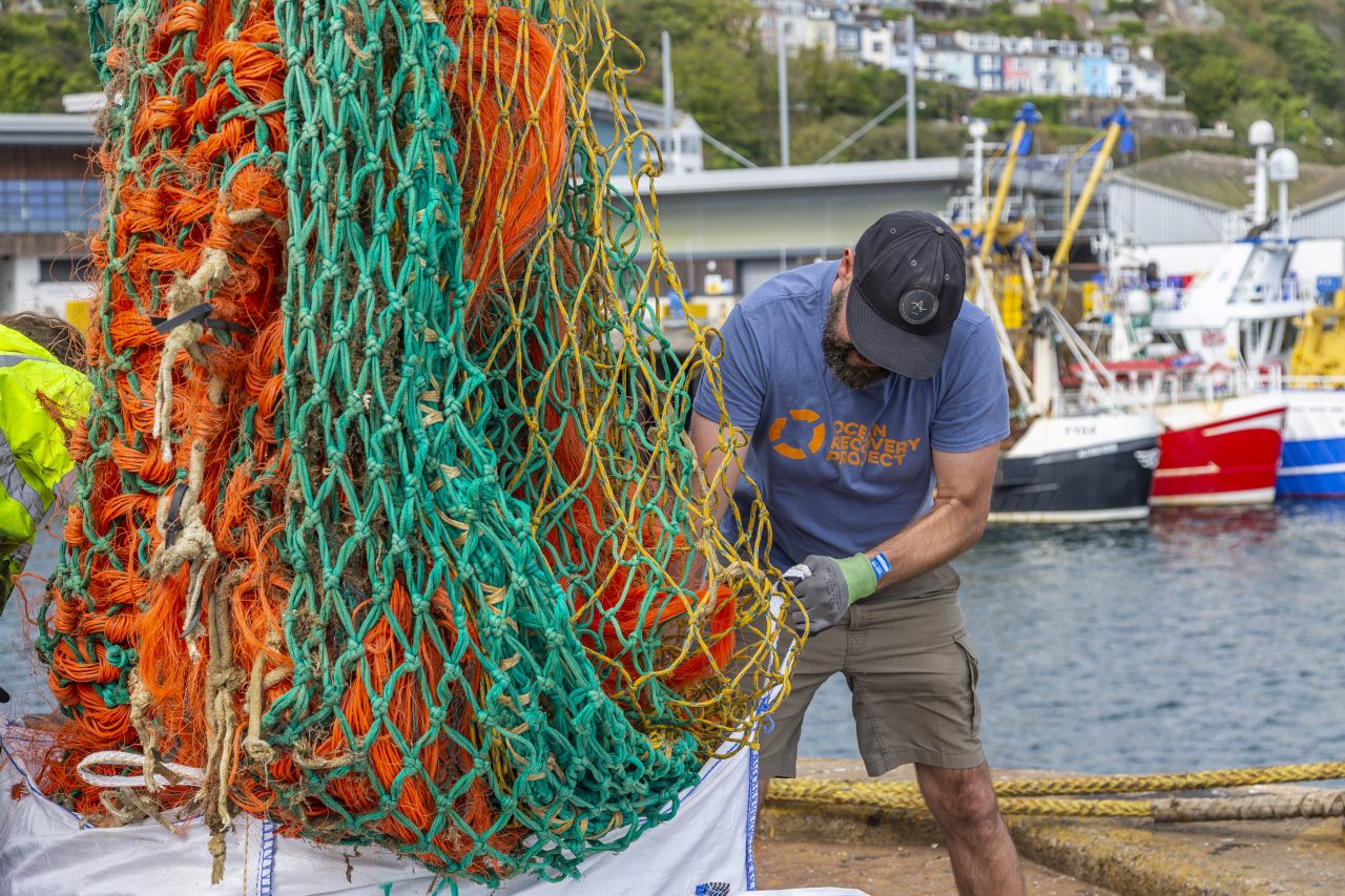Իտալիայում հայտնաբերել են տնտեսությանը վնաս հասցնող ծովախեցգետիններ