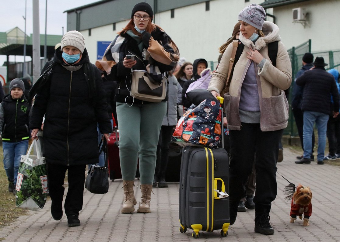 Bild. Ուկրաինայից փախստականների միայն 25%-ն է աշխատում Գերմանիայում