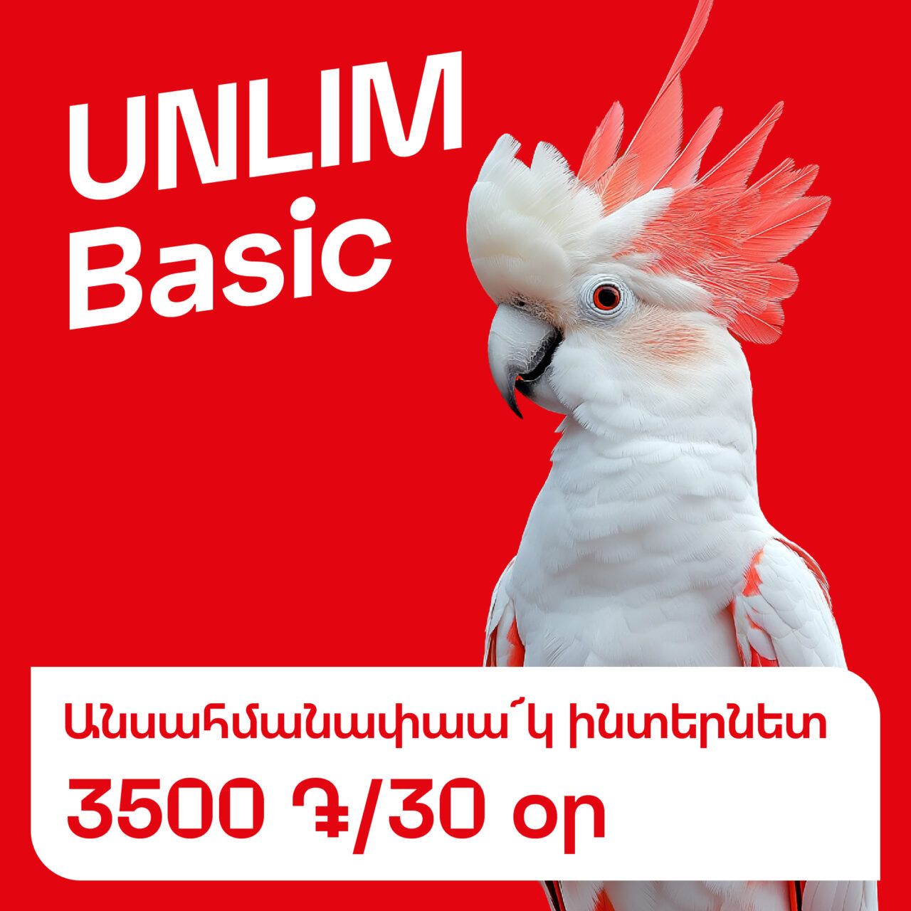 «UNLIM Basic». անսահմանափակ ինտերնետ՝ 3500 դրամով