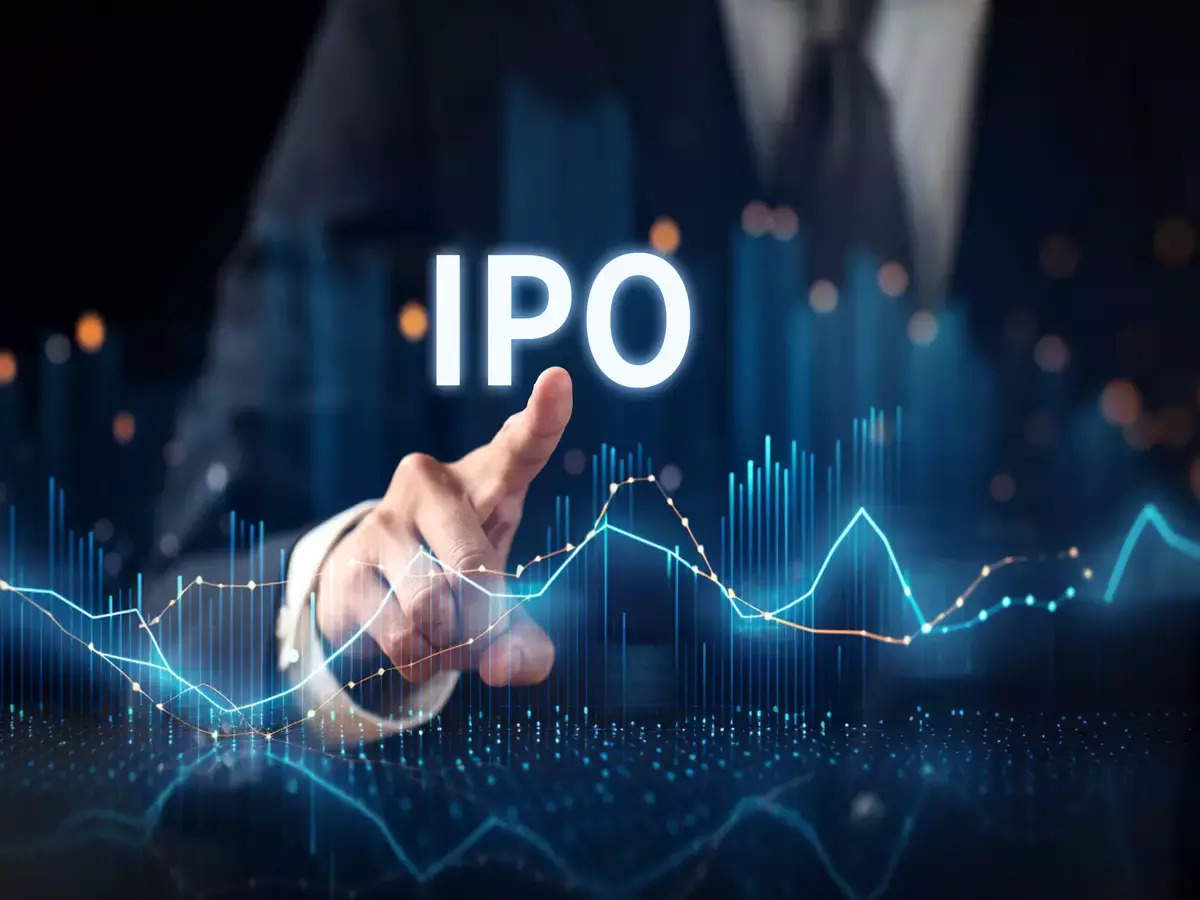 2024-ին ԱՄՆ-ում իրականացվել է 101 օտարերկրյա IPO