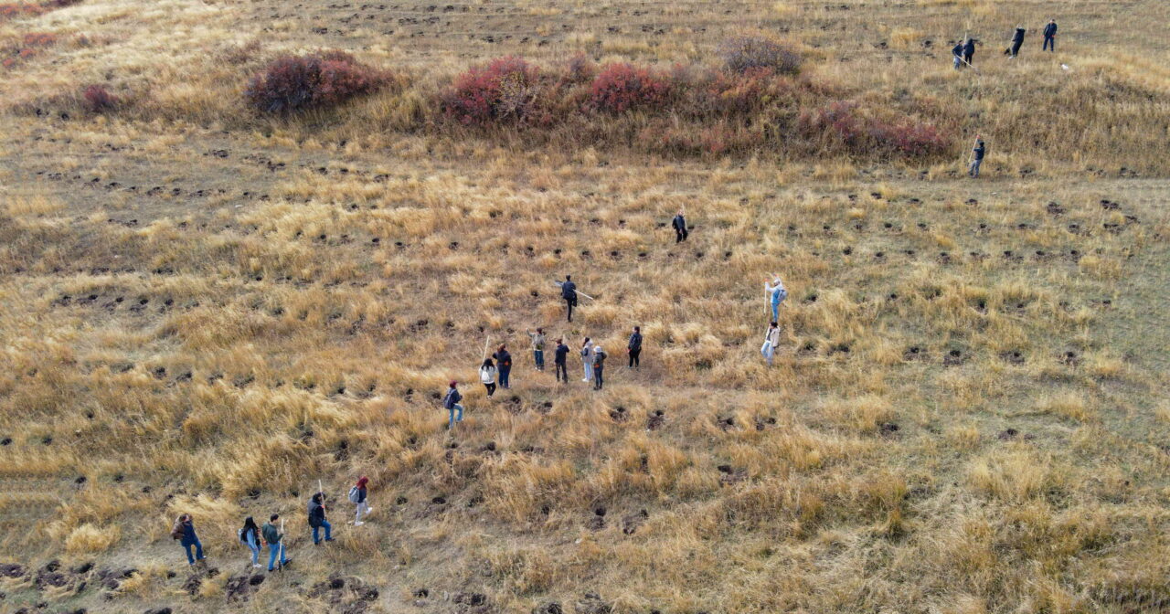 Ծառատունկ՝ հանուն Հայաստանի