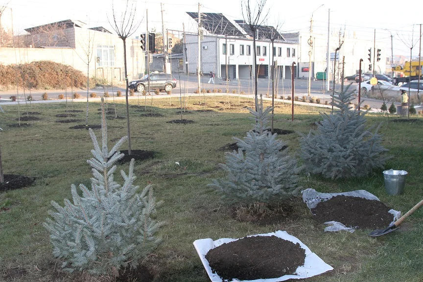 Լեգենդների փառքի արահետում բացվել են Global High-Tech Awards-ի երեք դափնեկիրների անվանական աստղերը