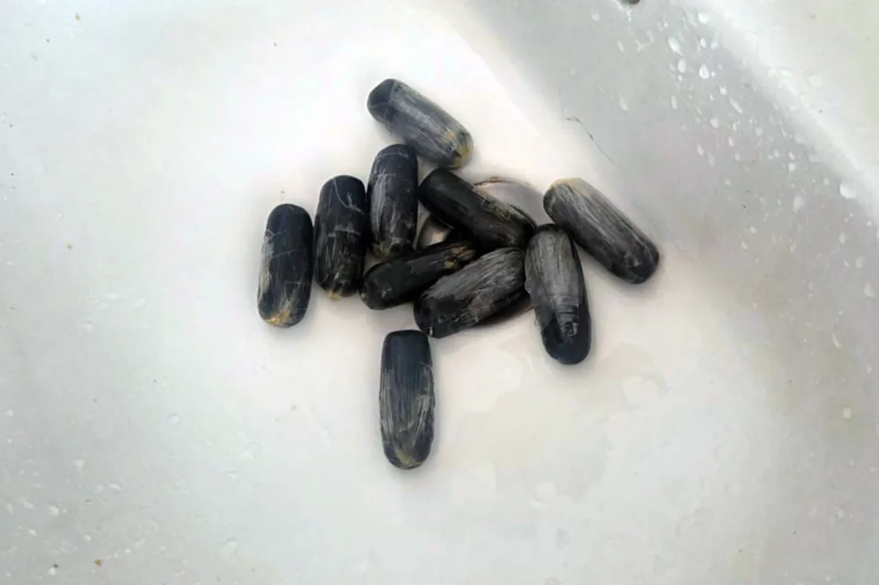 Օդային ճանապարհով քաղաքացին ՀՀ է ներմուծել 845 գրամ  «կոկաին» տեսակի թմրամիջոց