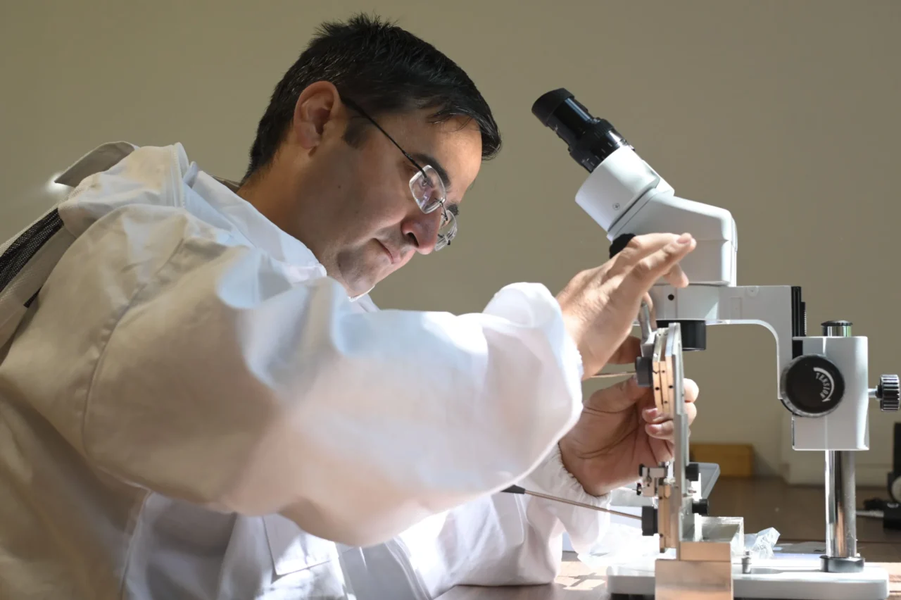 Շվեյցարական SIGMA ծրագիրը կրկնօրինակելի լուծումներ է առաջարկում Հայաստանում գյուղատնտեսության զարգացման համար