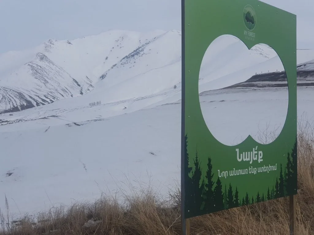 «Անտառների միջազգային օրը»՝ կարևոր ձեռքբերումներով