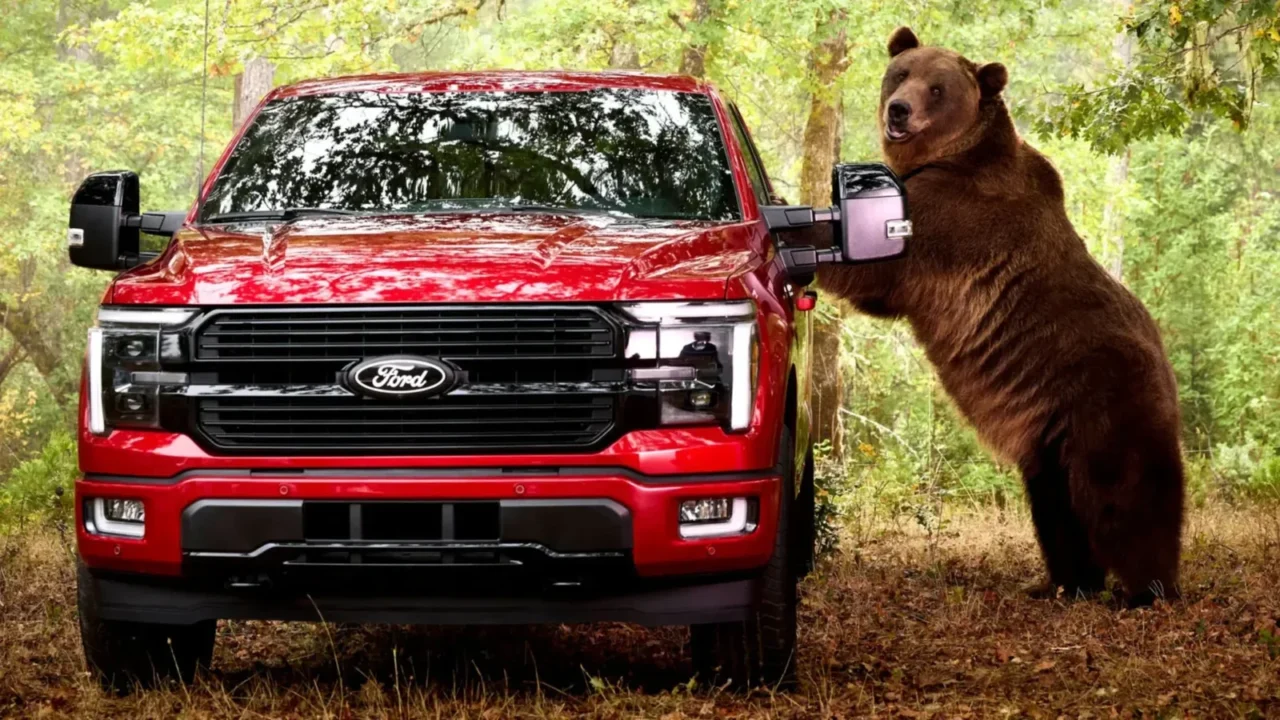 Ford-ը մեքենայի փորձարկման համար «վարձել» է իսկական արջ