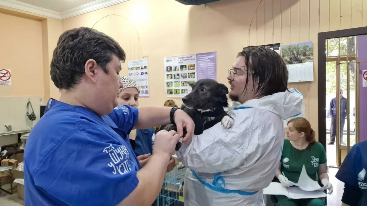 Կոնվերս Բանկը միացել է «ՔոՔո» և «Դինգո Թիմ» ՀԿ-ների նախաձեռնությանը