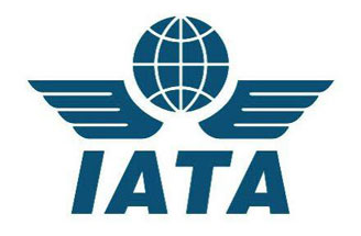 IATA: мировой авторынок вернется к прибыли в 2011 году