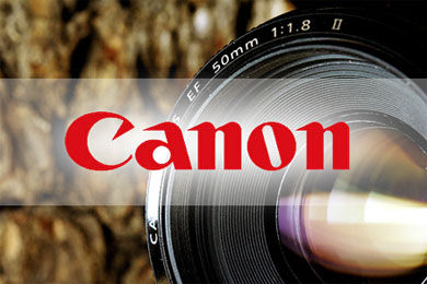 Японская Canon в 2010г. заработала $3 млрд