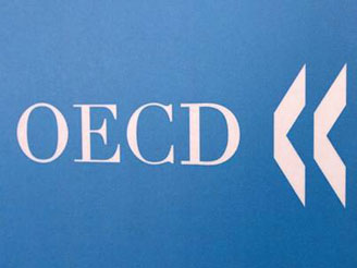 OECD: Больше всего нелегальных мигрантов среди рабочих в России