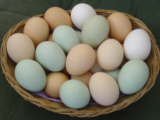 За год яйца подорожали почти на 40%