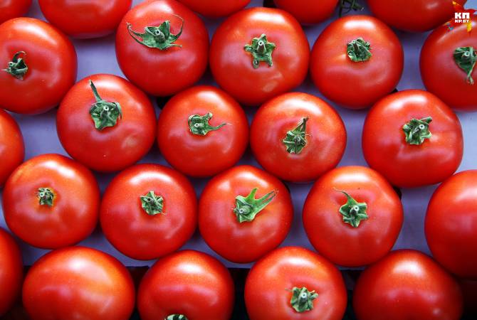 Турция поставит в РФ 50-60 тысяч тонн томатов в период межсезонья