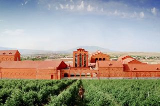 Armenia wine: достижения 2019 года и приоритеты 2020