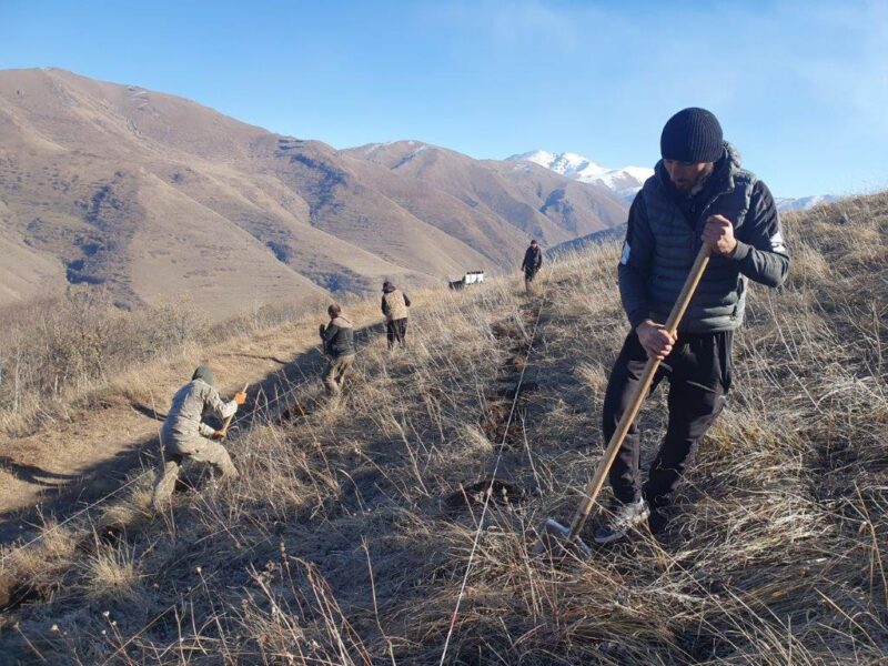 Viva и организация «My Forest Armenia» вновь объединяют усилия для основания лесов