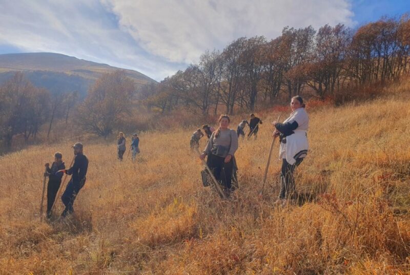 Viva и «My Forest Armenia» создают новый лес на площади 1,5 гектара