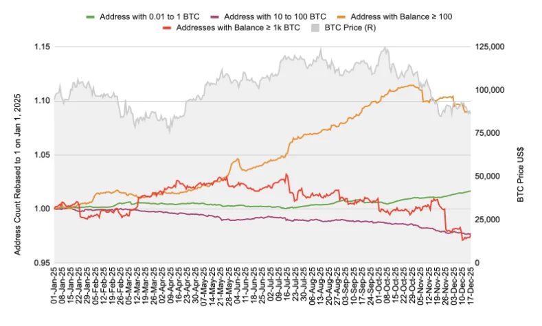Конец года на крипторынке: анализ факторов давления и сезонных эффектов 2