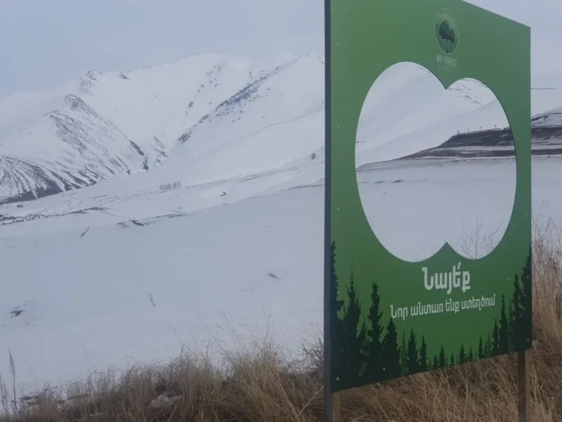 Международный день лесов повод, чтобы отметить важные достижения