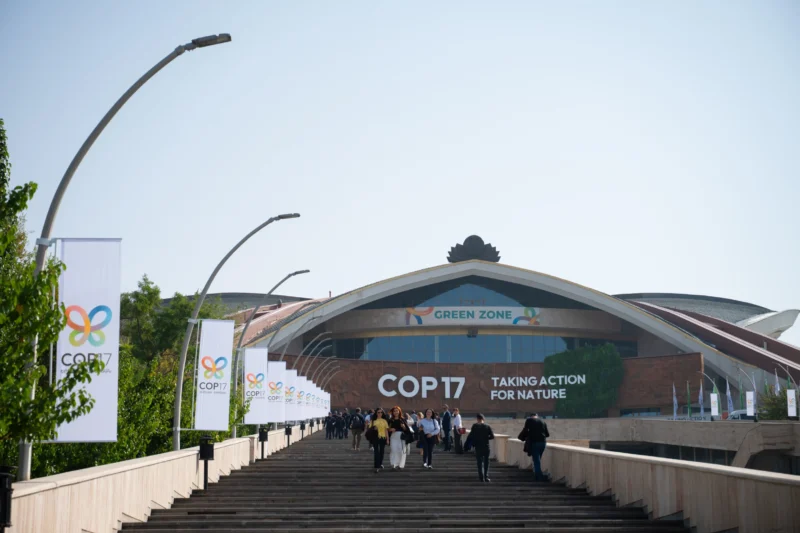 Idram и IDBank приняли участие в открытии павильона «Мой лес Армения» на COP17 1