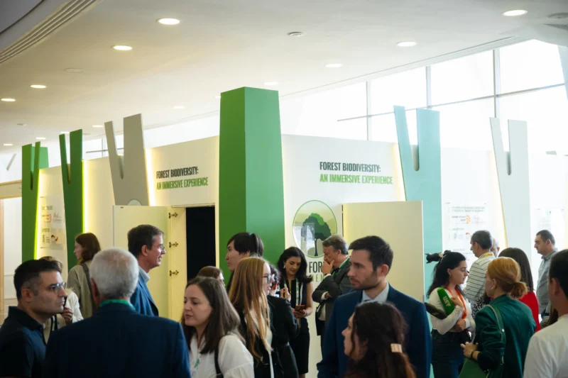 Idram и IDBank приняли участие в открытии павильона «Мой лес Армения» на COP17 2